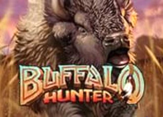 Изображение игры Buffalo Hunter